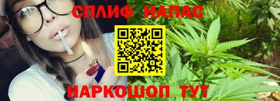 spice Кимры