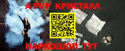 кокс Кингисепп